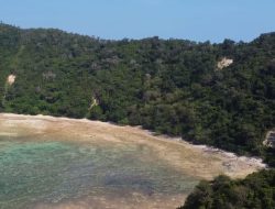 Manfaat PLTN di Pulau Gelasa Jadi Tanda Tanya, 2010 Pernah Mau Dibangun di Babar dan Basel